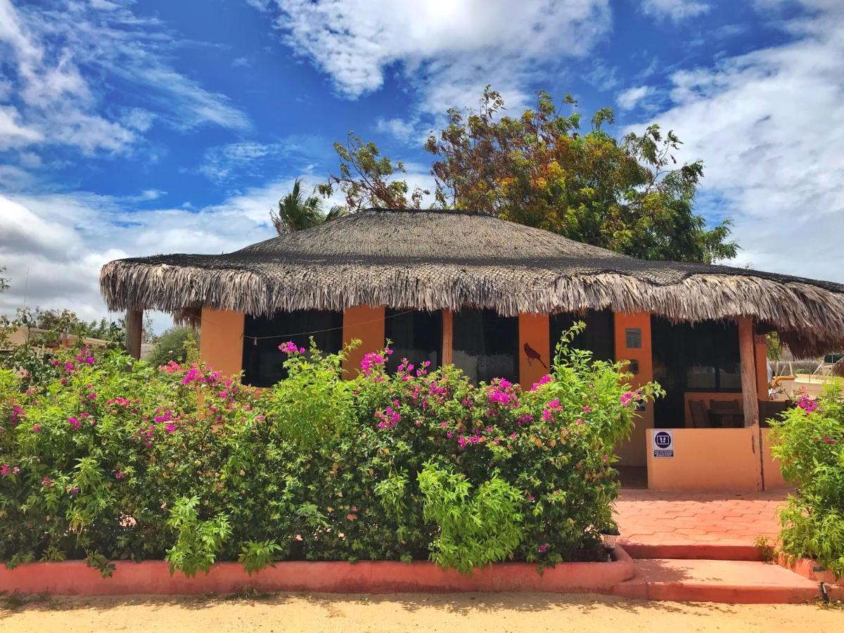 Bungalows Cabo Pulmo Kültér fotó